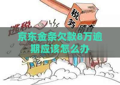 京东金条欠款8万逾期应该怎么办