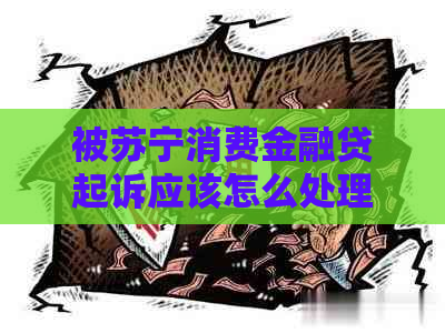 被苏宁消费金融贷起诉应该怎么处理