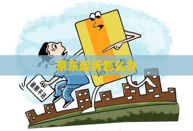 京东起诉怎么办
