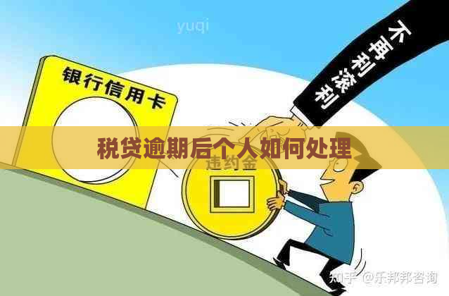 税贷逾期后个人如何处理