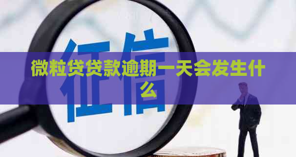微粒贷贷款逾期一天会发生什么