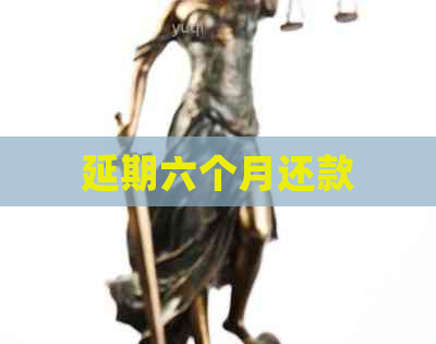 延期六个月还款