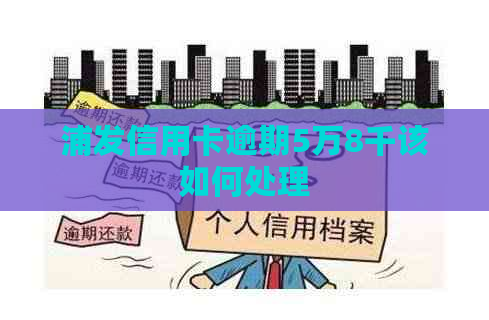 浦发信用卡逾期5万8千该如何处理