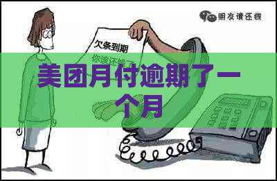美团月付逾期了一个月