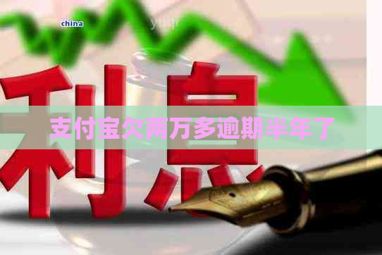 支付宝欠两万多逾期半年了
