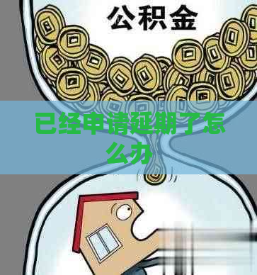 已经申请延期了怎么办