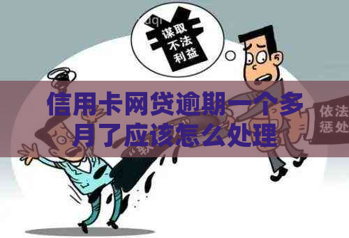 信用卡网贷逾期一个多月了应该怎么处理