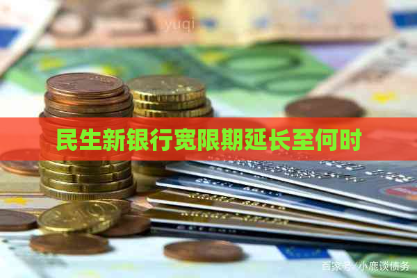 民生新银行宽限期延长至何时