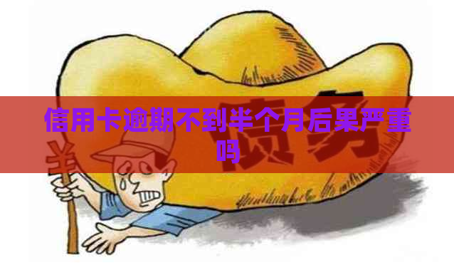 信用卡逾期不到半个月后果严重吗