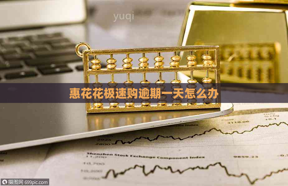 惠花花极速购逾期一天怎么办