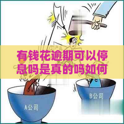 有钱花逾期可以停息吗是真的吗如何操作