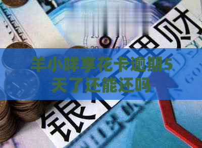 羊小咩享花卡逾期5天了还能还吗