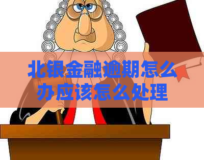 北银金融逾期怎么办应该怎么处理