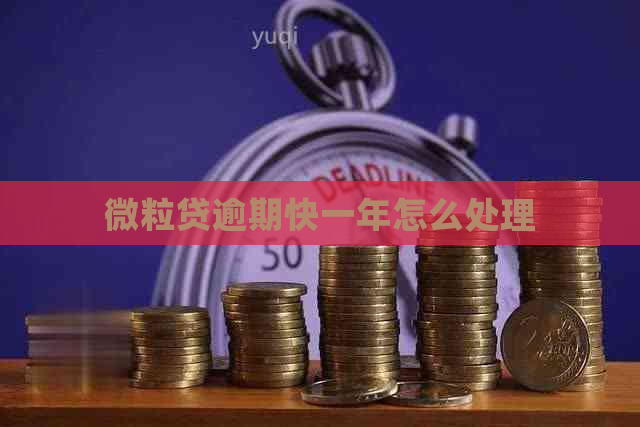 微粒贷逾期快一年怎么处理
