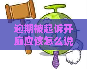 逾期被起诉开庭应该怎么说