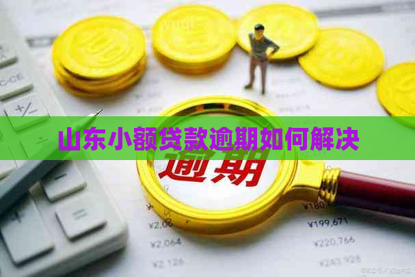 山东小额贷款逾期如何解决