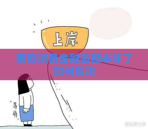 蒙商消费金融逾期半年了如何解决