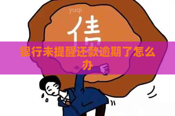 银行未提醒还款逾期了怎么办