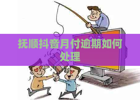 抚顺抖音月付逾期如何处理