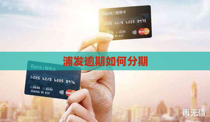 浦发逾期如何分期