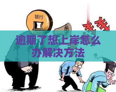 逾期了想上岸怎么办解决方法