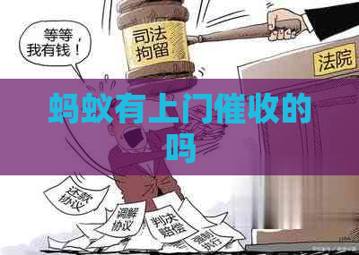 蚂蚁有上门的吗