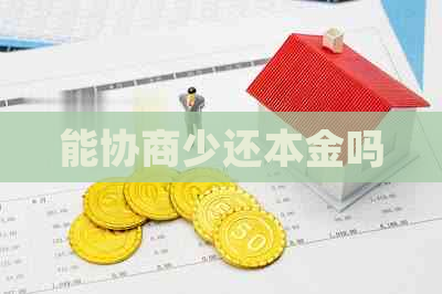能协商少还本金吗