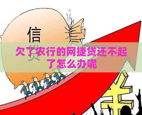 欠了农行的网捷贷还不起了怎么办呢