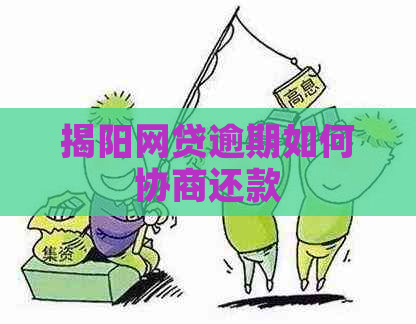 揭阳网贷逾期如何协商还款