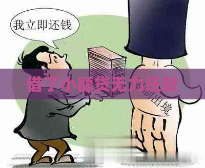 借了小额贷无力还款