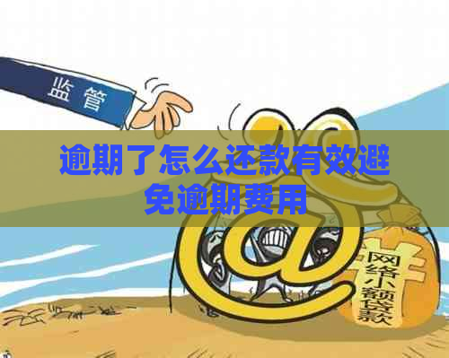 逾期了怎么还款有效避免逾期费用