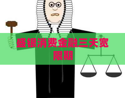盛银消费金融三天宽限期