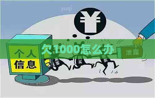 欠1000怎么办