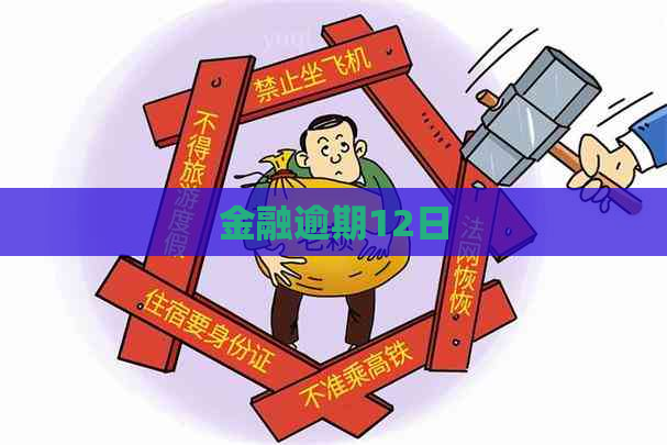 金融逾期12日