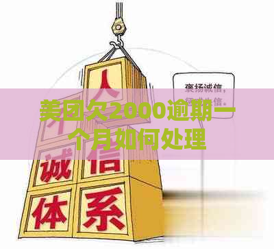 美团欠2000逾期一个月如何处理