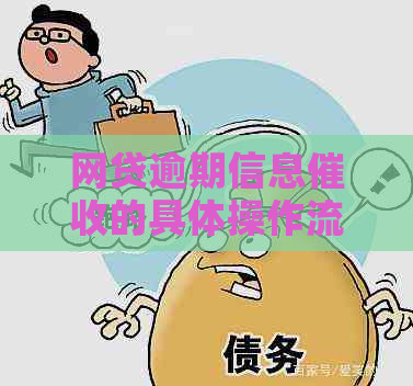 网贷逾期信息的具体操作流程是什么