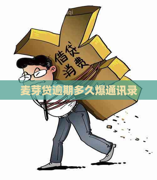 麦芽贷逾期多久爆通讯录