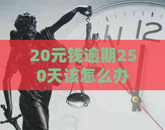 20元钱逾期250天该怎么办