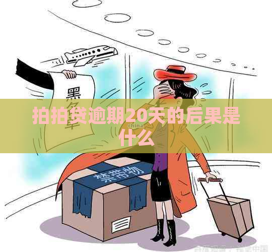 逾期20天的后果是什么