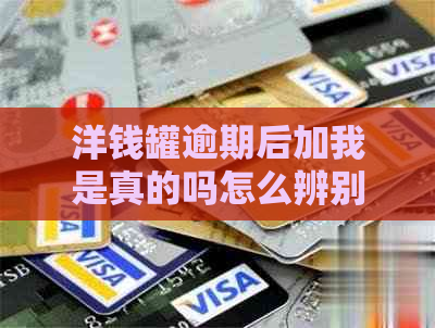 洋钱罐逾期后加我是真的吗怎么辨别真假