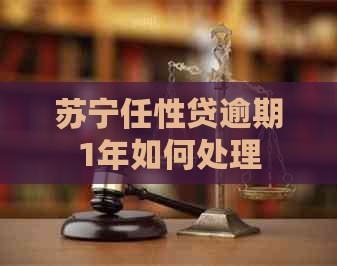苏宁任性贷逾期1年如何处理