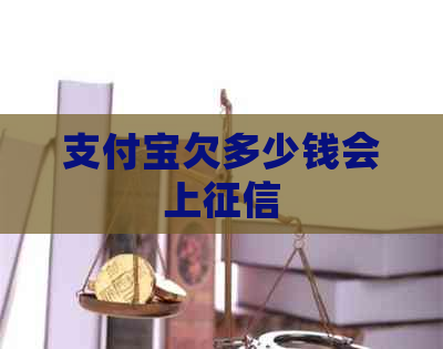 支付宝欠多少钱会上