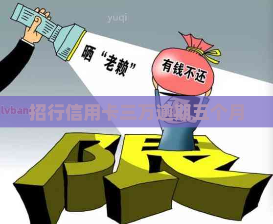 招行信用卡三万逾期五个月