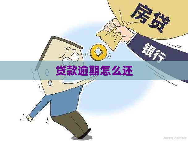 贷款逾期怎么还
