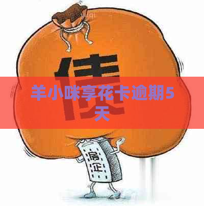 羊小咪享花卡逾期5天