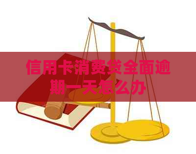 信用卡消费贷全面逾期一天怎么办