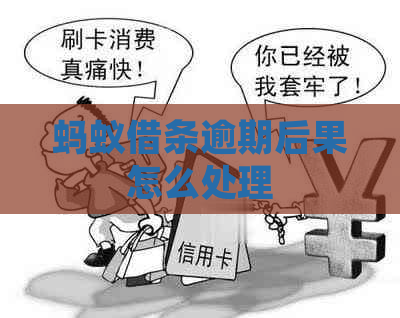 蚂蚁借条逾期后果怎么处理
