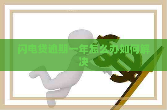 闪电贷逾期一年怎么办如何解决