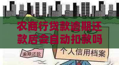 农商行贷款逾期还款后会自动扣款吗
