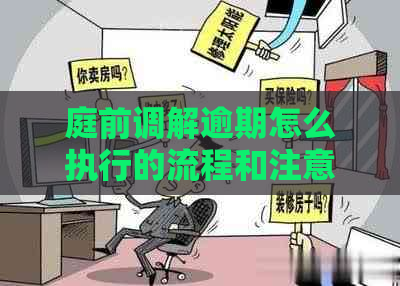 庭前调解逾期怎么执行的流程和注意事项